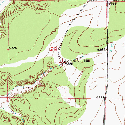 Topographic Map of Tom Wright Mill, NM