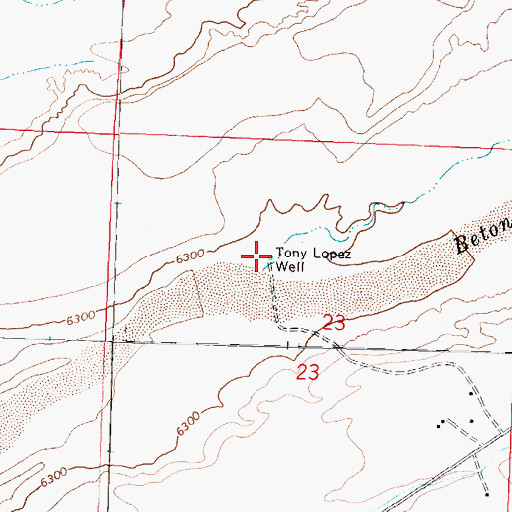 Topographic Map of Tony Lopez Well, NM