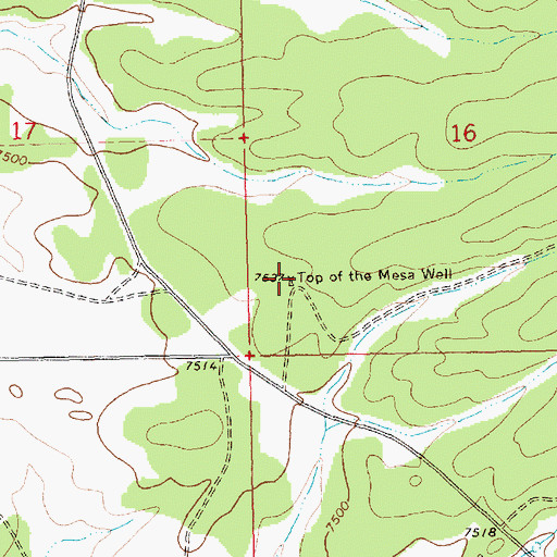 Topographic Map of Top of the Mesa Well, NM