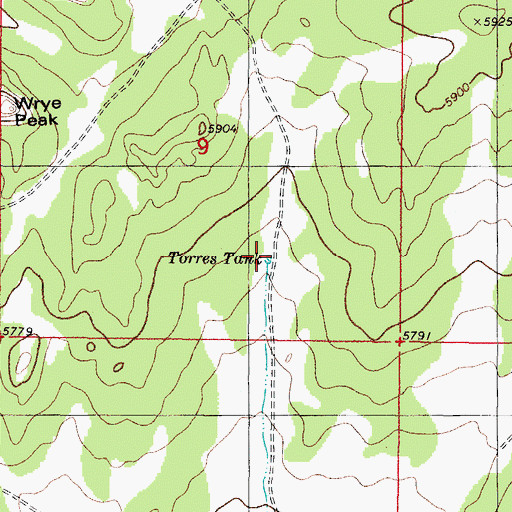 Topographic Map of Torres Tank, NM