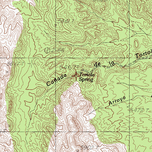 Topographic Map of Tortola Spring, NM