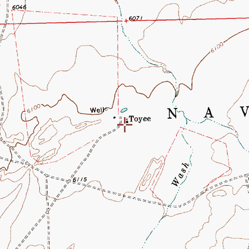 Topographic Map of Toyee, NM