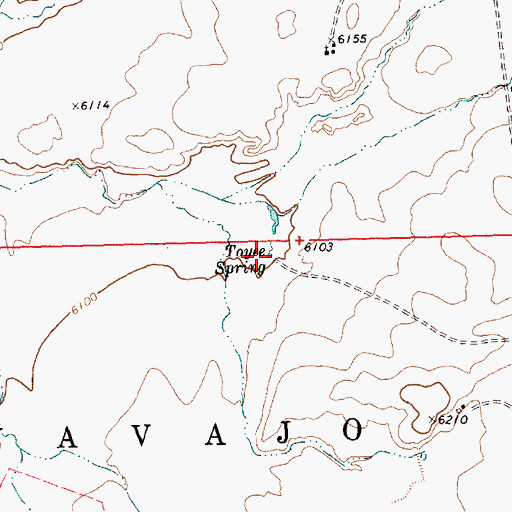 Topographic Map of Toyee Spring, NM