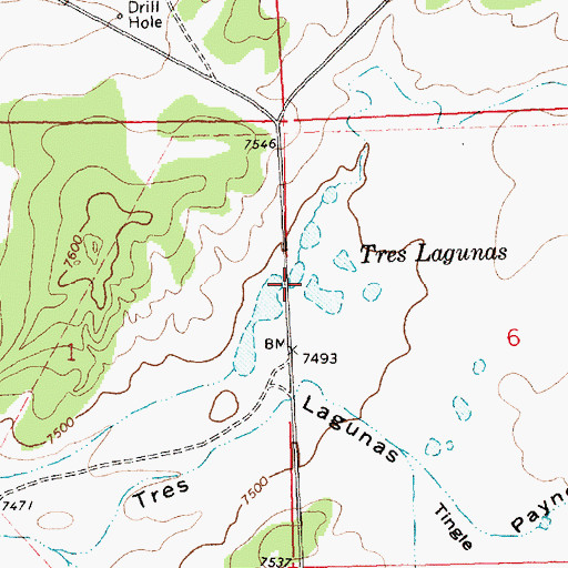 Topographic Map of Tres Lagunas, NM