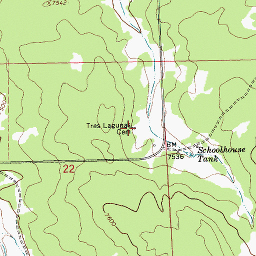 Topographic Map of Tres Lagunas Cemetery, NM