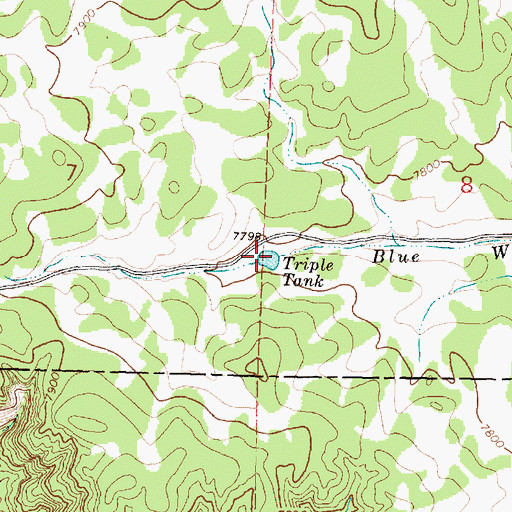 Topographic Map of Triple Tank, NM