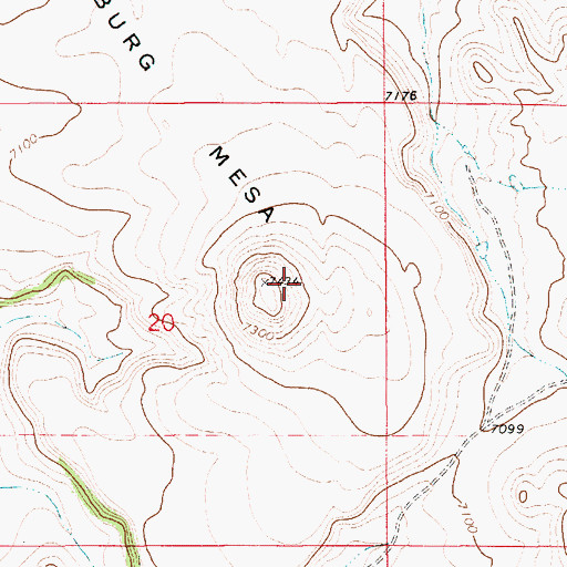 Topographic Map of Troyburg Mesa, NM