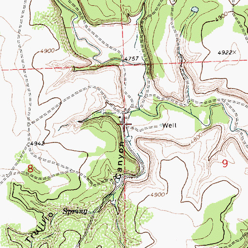Topographic Map of Trujillo Canyon, NM
