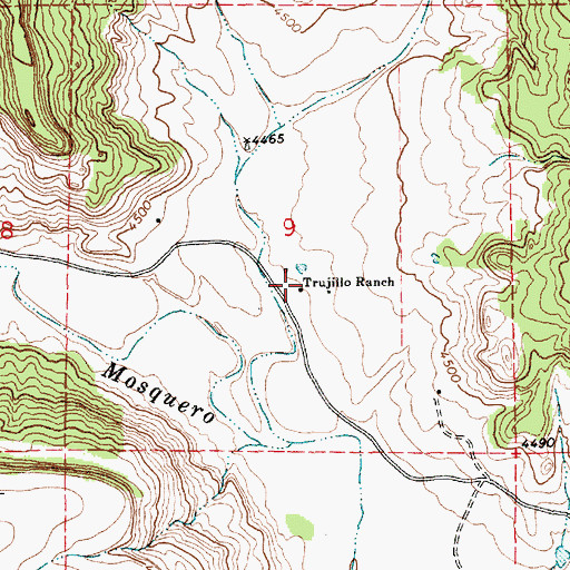 Topographic Map of Trujillo Ranch, NM