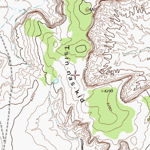 Topographic Map of Tsin-nas-kid, NM