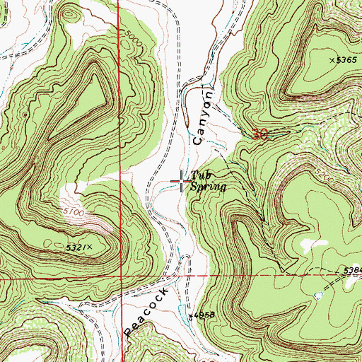 Topographic Map of Tub Spring, NM