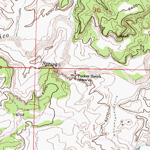 Topographic Map of Tucker Ranch, NM