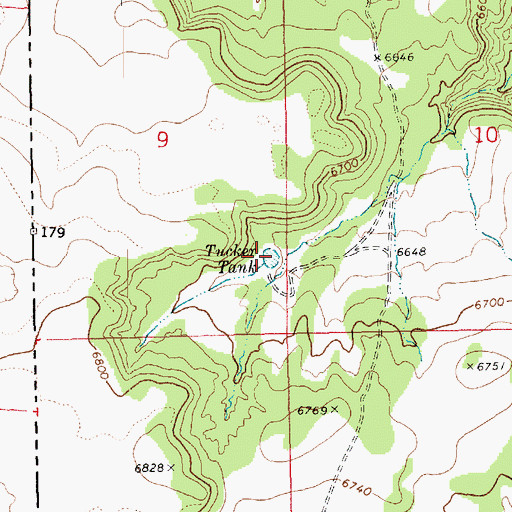 Topographic Map of Tucker Tank, NM