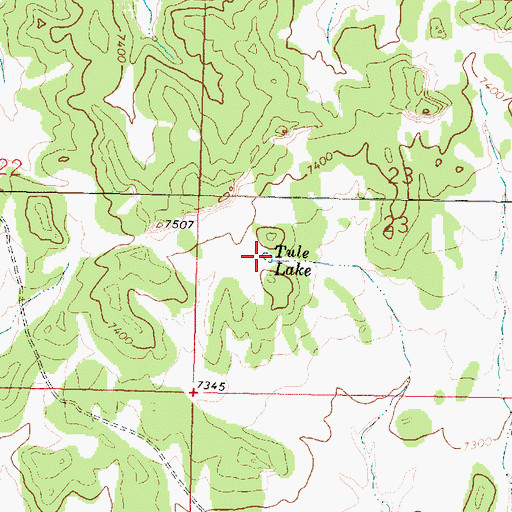Topographic Map of Tule Lake, NM