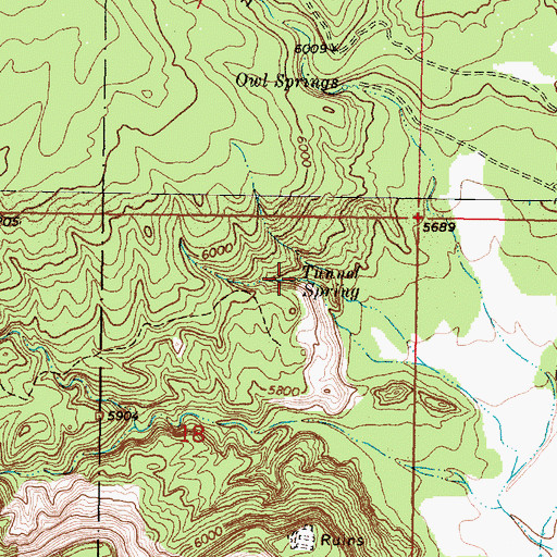 Topographic Map of Tunnel Spring, NM