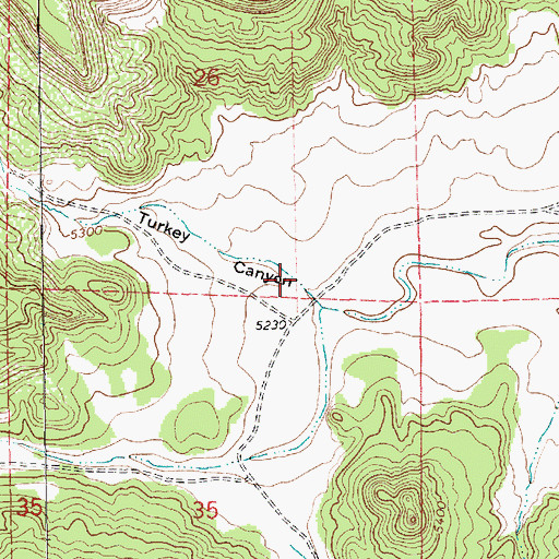 Topographic Map of Turkey Canyon, NM