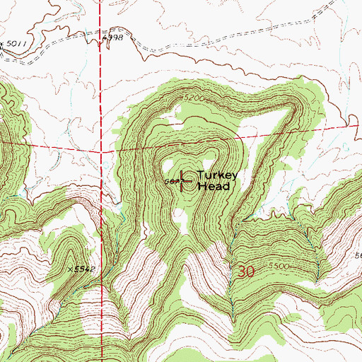 Topographic Map of Turkey Head, NM