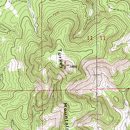 Topographic Map of Turkey Mountain, NM