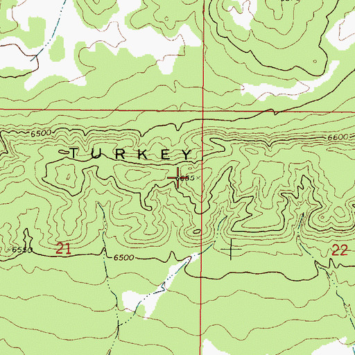 Topographic Map of Turkey Ridge, NM