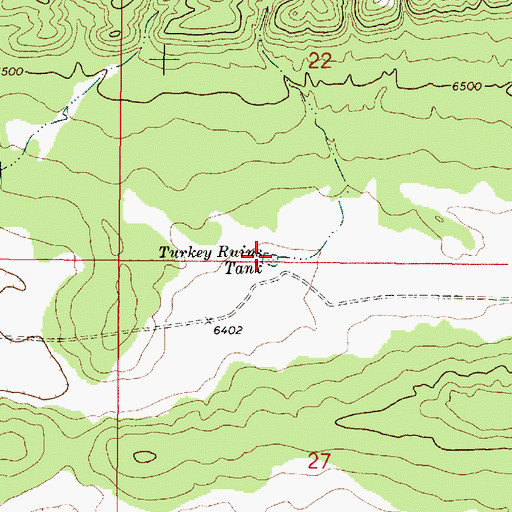 Topographic Map of Turkey Ruins Tank, NM