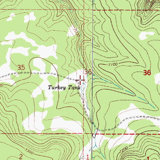 Topographic Map of Turkey Tank, NM