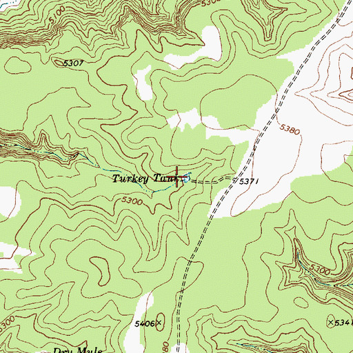 Topographic Map of Turkey Tank, NM