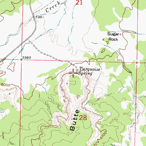 Topographic Map of Turquois Spring, NM