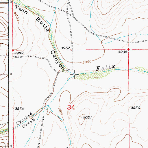 Topographic Map of Twin Butte Canyon, NM