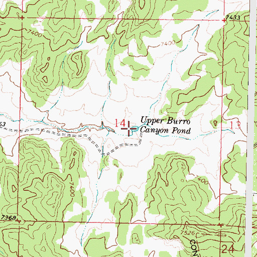 Topographic Map of Upper Burro Canyon Pond, NM