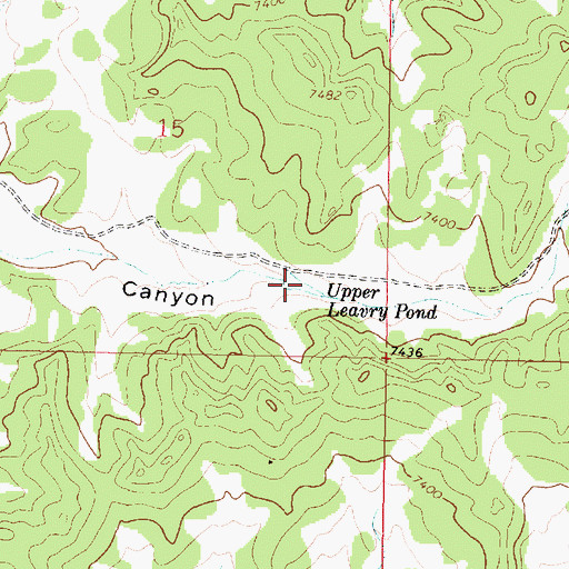 Topographic Map of Upper Leavry Pond, NM