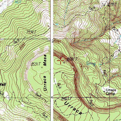 Topographic Map of Urraca Mesa, NM