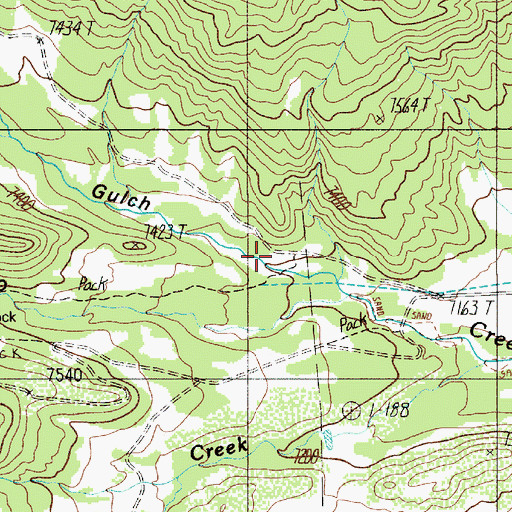 Topographic Map of Ute Gulch, NM