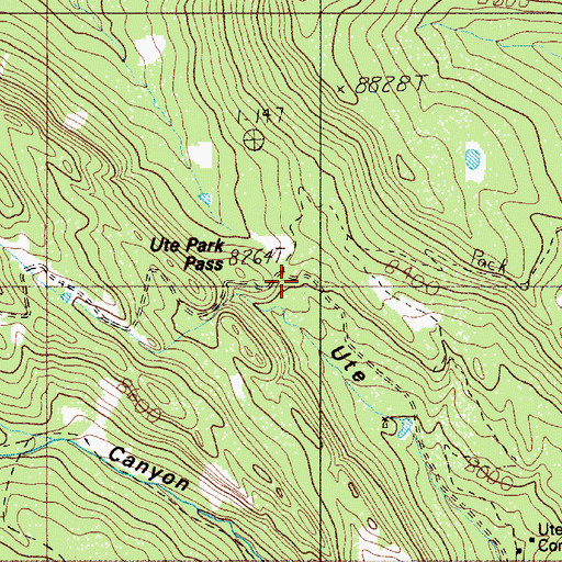 Topographic Map of Ute Park Pass, NM