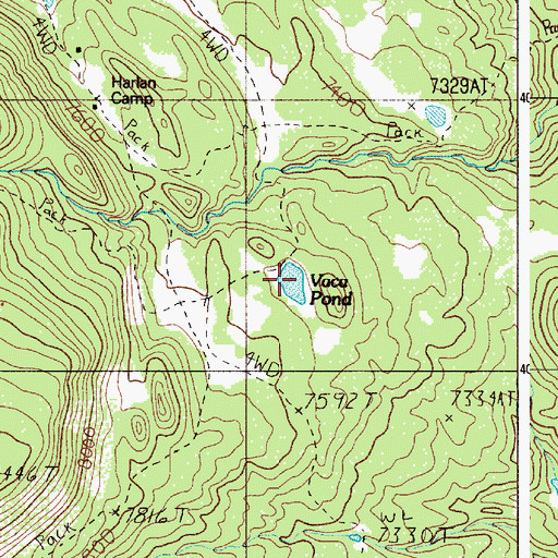 Topographic Map of Vaca Pond, NM