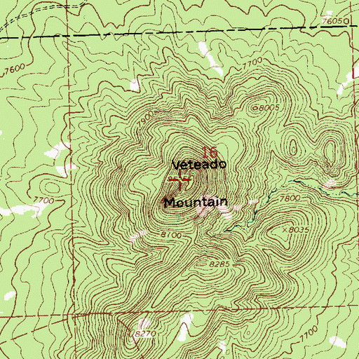 Topographic Map of Veteado Mountain, NM