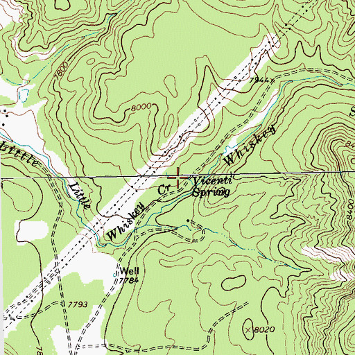 Topographic Map of Vicenti Spring, NM
