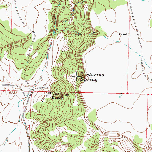 Topographic Map of Victorino Spring, NM