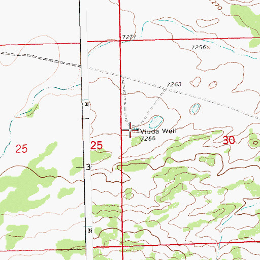 Topographic Map of Viuda Well, NM