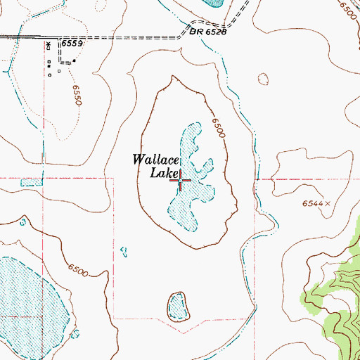Topographic Map of Wallace Lake, NM