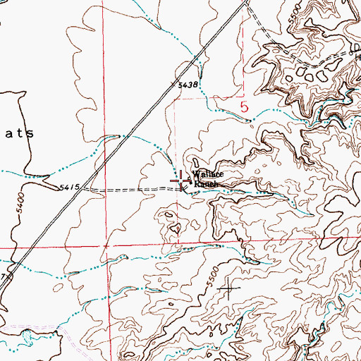 Topographic Map of Wallace Ranch, NM