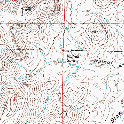 Topographic Map of Walnut Spring, NM