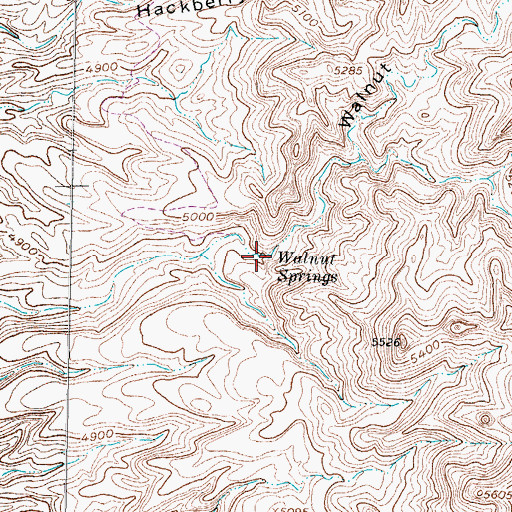Topographic Map of Walnut Springs, NM