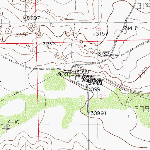 Topographic Map of Ward Waterhole, NM