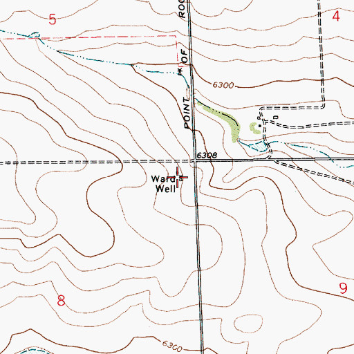 Topographic Map of Ward Well, NM