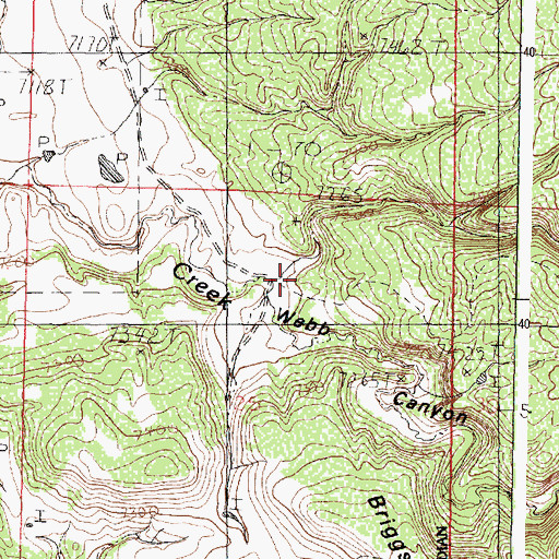 Topographic Map of Webb Canyon, NM
