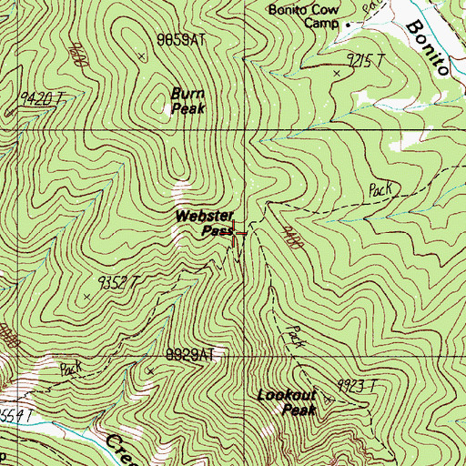 Topographic Map of Webster Pass, NM