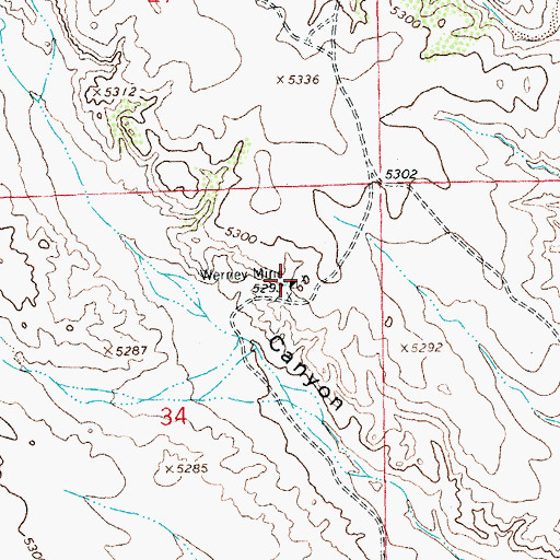 Topographic Map of Werney Mine, NM