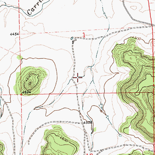 Topographic Map of West Canyon, NM