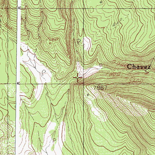 Topographic Map of West Fork Chavez Creek, NM