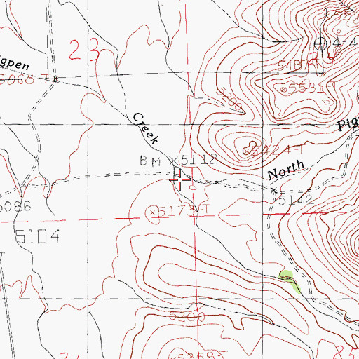 Topographic Map of West Pigpen Creek, NM